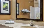 Studio Suite - 1 Queen Bed
