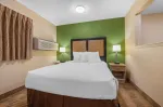 Deluxe Studio - 1 Queen Bed