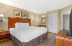 1 Bedroom Suite - 1 Queen Bed