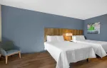 Studio Suite - 2 Queen Beds