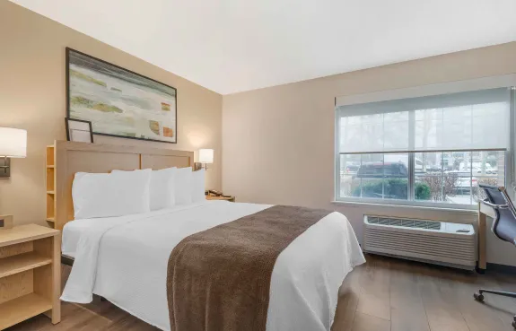 1 Bedroom Suite - 1 Queen Bed