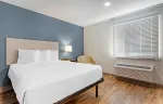 Studio Suite - 1 Queen Bed