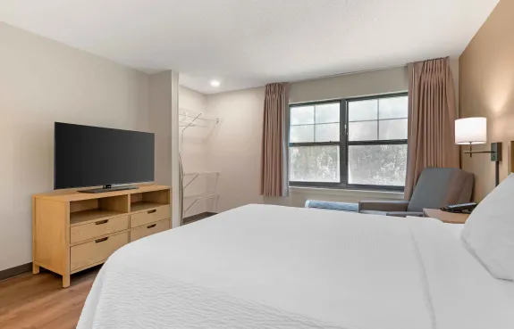 Studio Suite - 1 Queen Bed