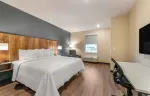 Studio Suite - 1 King Bed