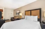 Deluxe Studio - 1 Queen Bed