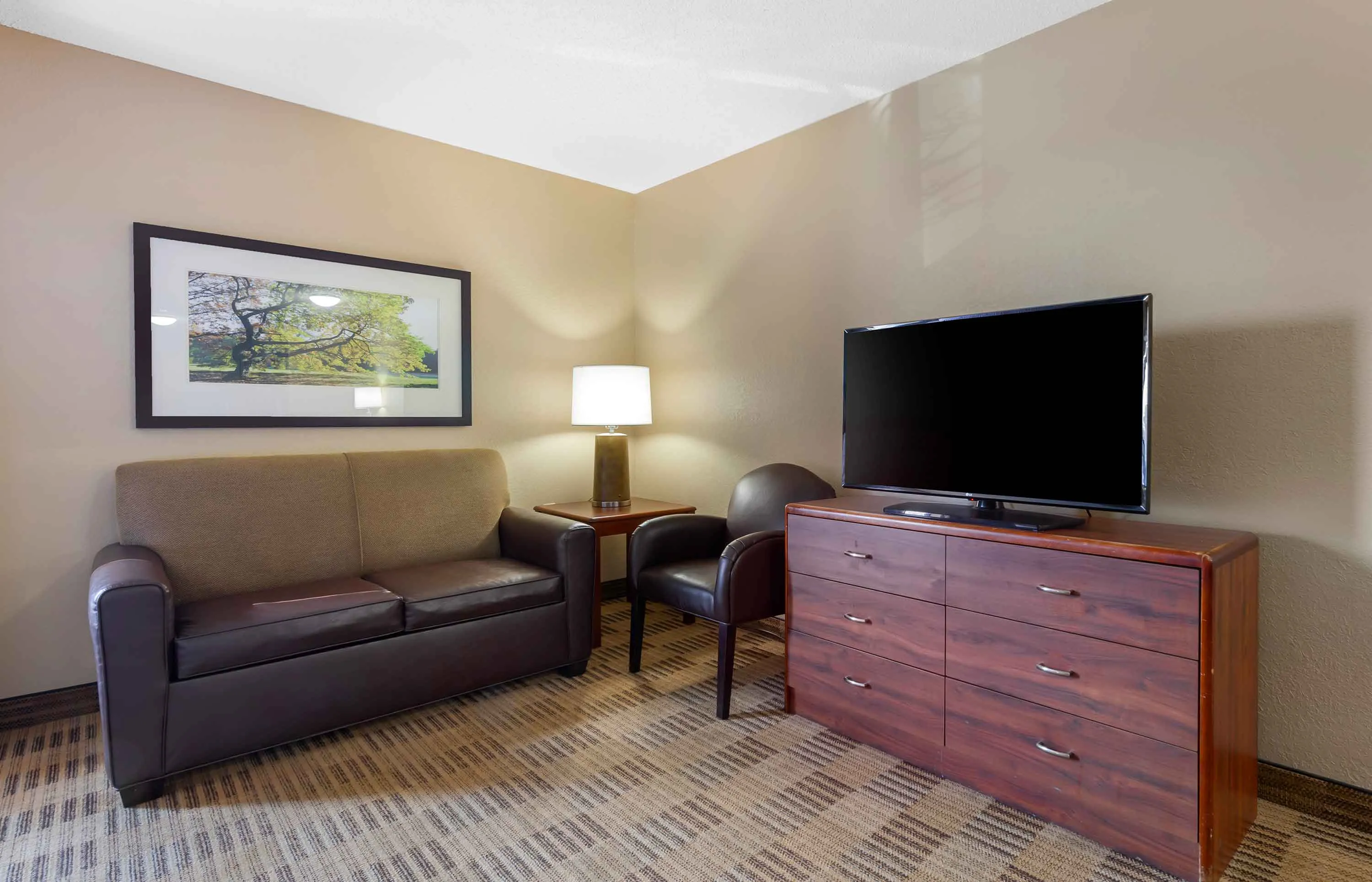 Deluxe Studio - 1 Queen Bed